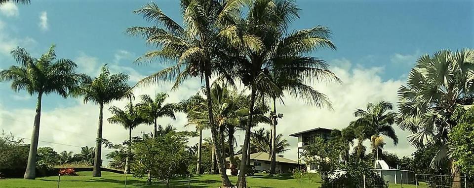 Papaikou House | Island Goode's - Luxury Adult Only Accommodation near Hilo