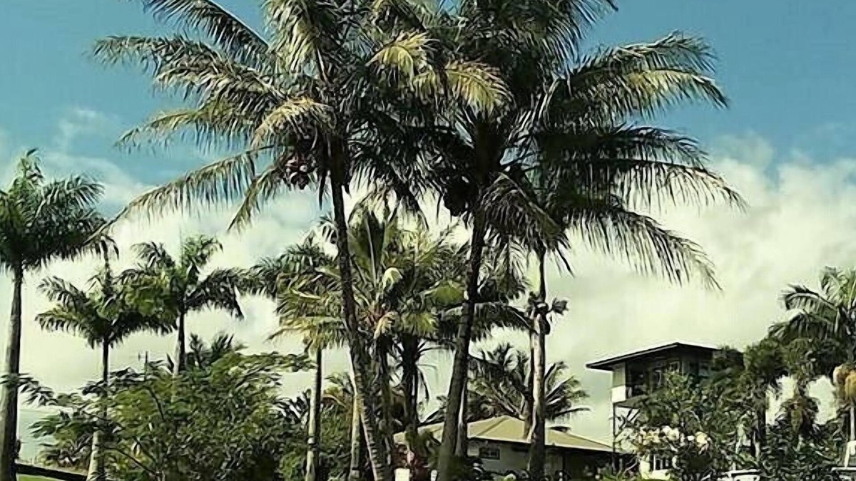 Papaikou Hotel | Island Goode's - Luxury Adults Only Accommodation
