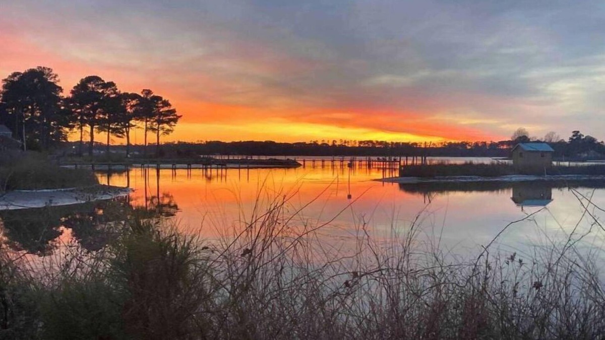 Gwynn House | Island Oasis!