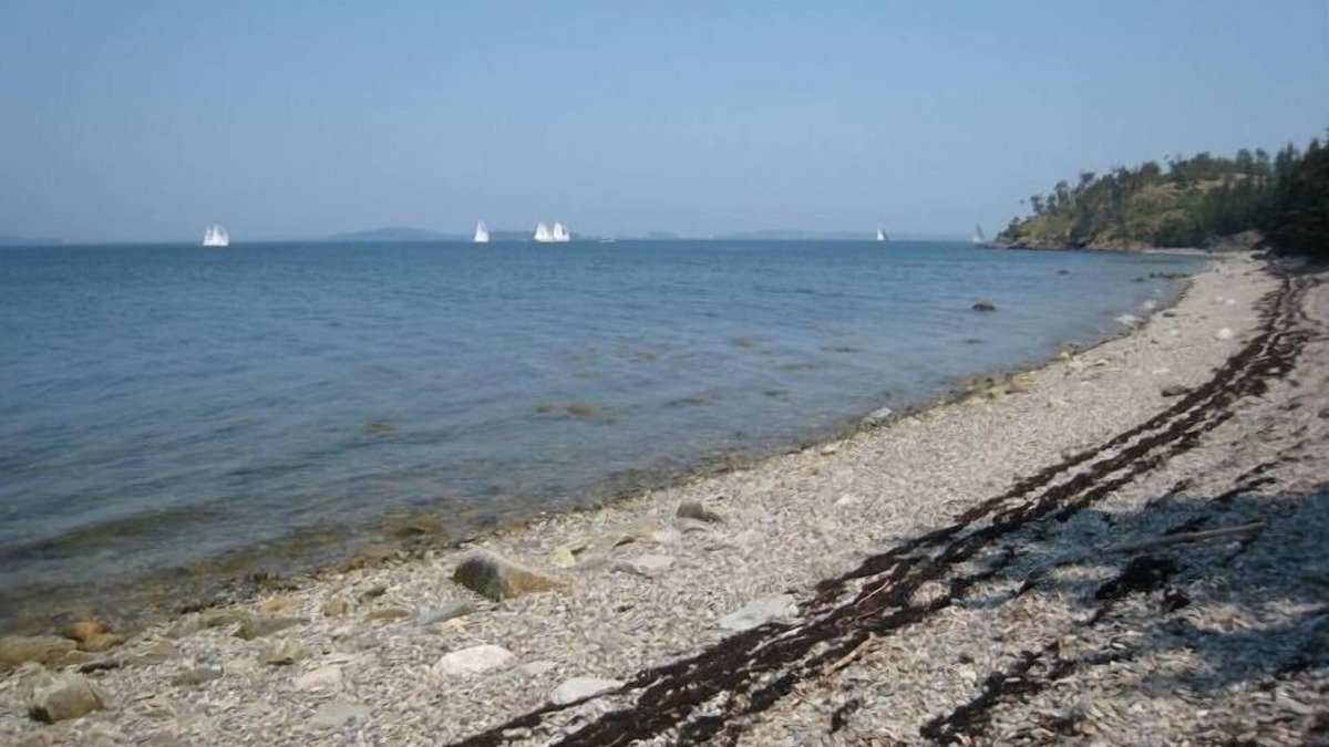 North Haven Cottage | Island Summer House on 40 Acres - Spectacular Views & Beach Access