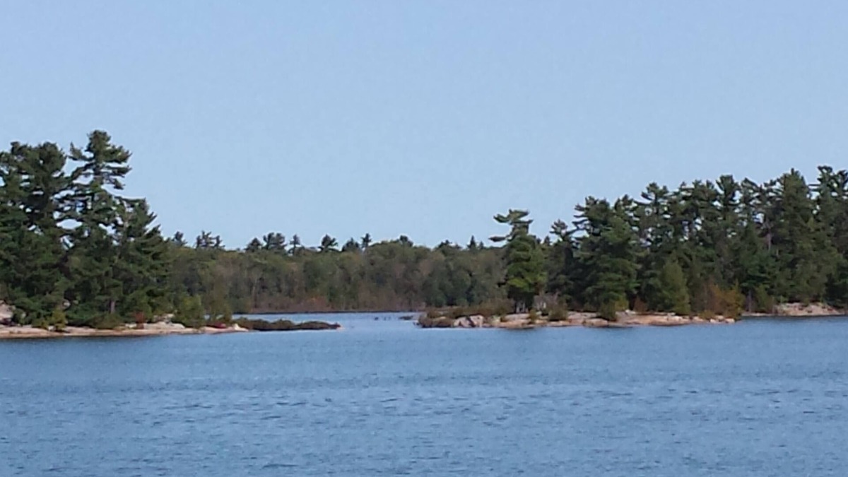 Sault Ste. Marie House | Island View Resort, Sugar Island