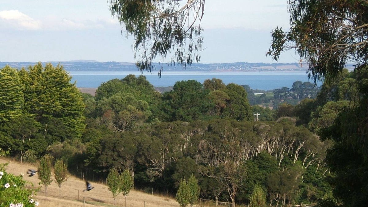 Red Hill South Apartment | Island View Studio Red Hill - Private romantic couples retreat.