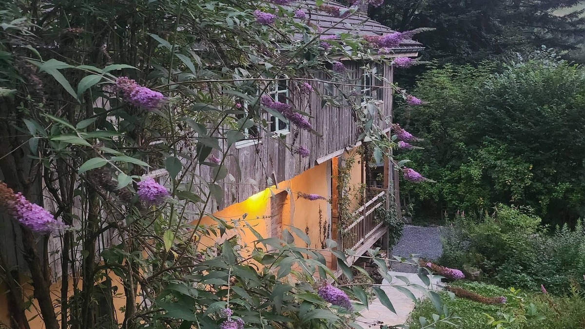 Thones Ski Chalet | Isolated chalet in the heart of nature, forest, river.