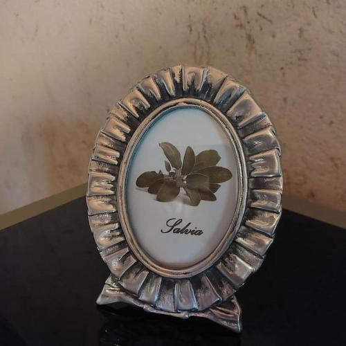 Costigliole Saluzzo Apartment | Istanti - Salvia