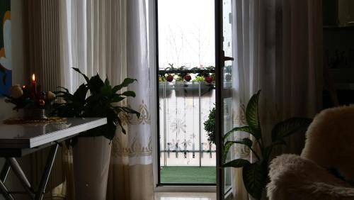 Isola del Bosco - Delle Corti Apartment | 65 m² Apartment ∙ 1 bedroom ∙ 4 guests