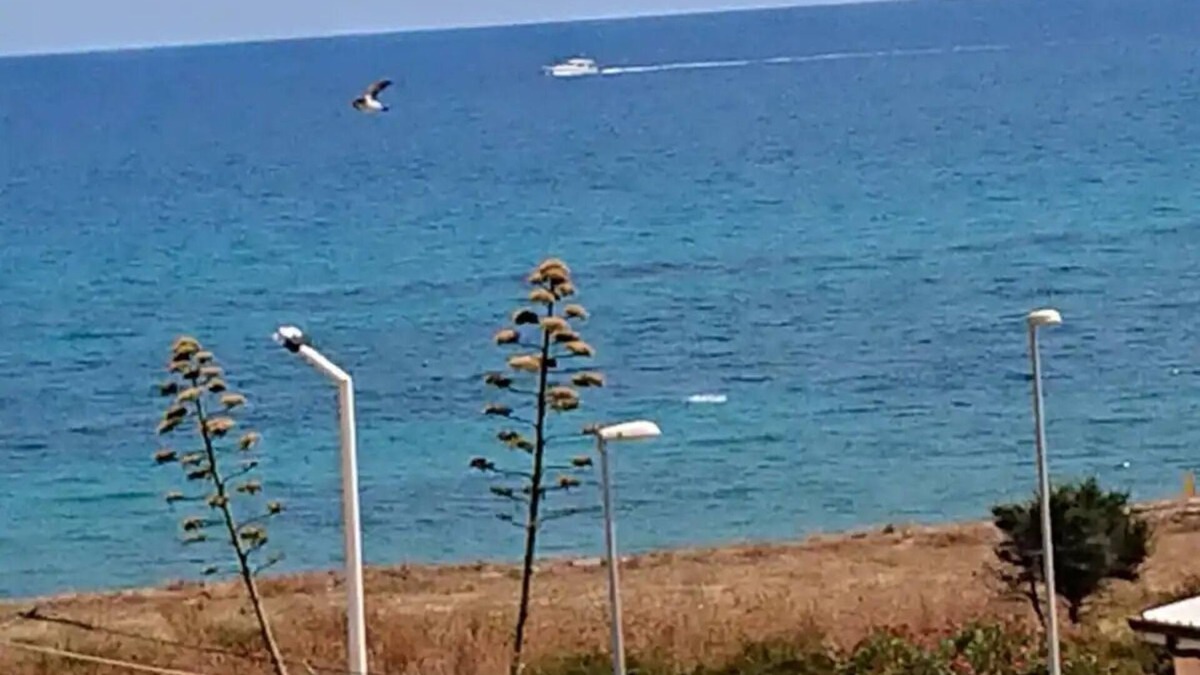 Bruzzano Zeffirio House | Appartamento Vista Mare P.t. Lato B