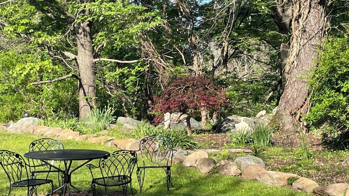 Bluemont Cottage | It's Own Destination / Farm Cottage with Mountain Views & Pond