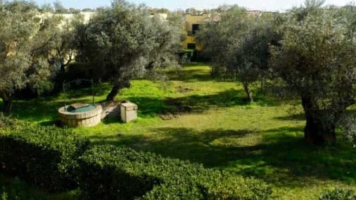 Sant'Andrea Apostolo dello Ionio Apartment | Apartment 'Tra Ulivi E Mare' with Shared Garden, Wi-Fi and Air Conditioning
