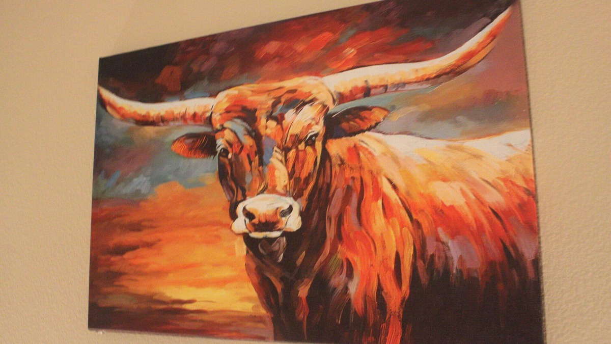 North Burnet Apartment | It was all a dream.