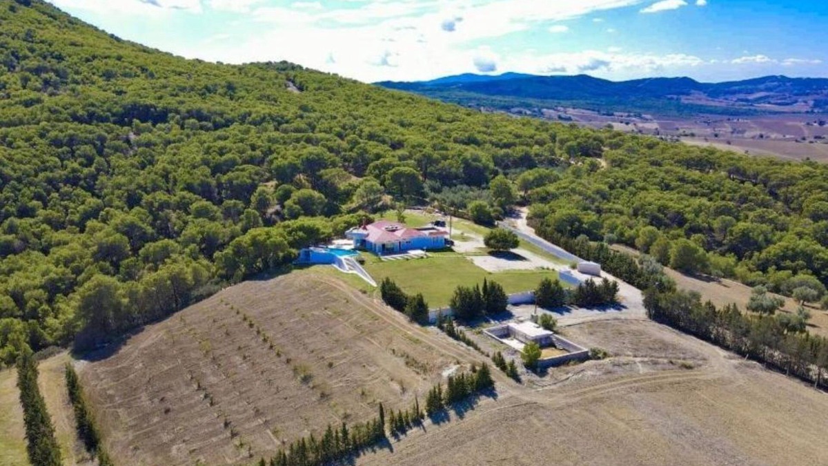 Zaghouan House | Ivlia B&B, rural villa, offering an immersive experience in the heart of nature.