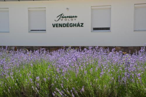 Ozd Apartment | Jánossza-völgy Vendégház