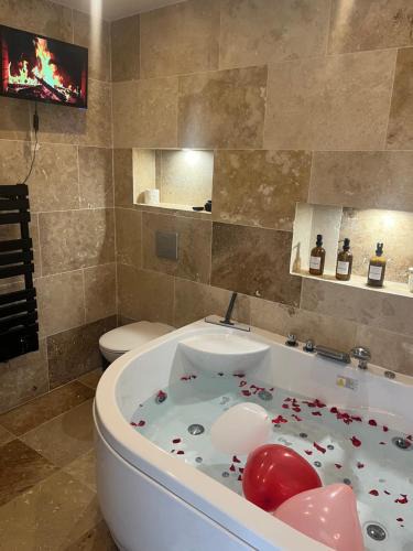 Les Pavillons-sous-Bois Apartment | Jaccuzi F2 proche du Canal