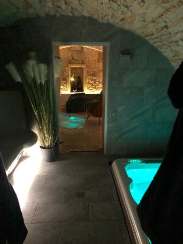 Saint Nicolas - Charles III - Ville vieille - Trois Maisons - Leopold Apartment | jaccuzi & spa des caves Stanislas