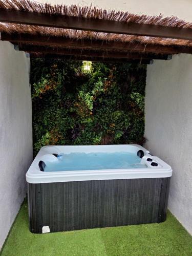 Port-Saint-Louis-du-Rhone Apartment | Jacuzzi & Jardin privé - Suite Tropicale