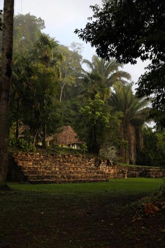 Teakettle Village Resort | Jade Jungle Resort