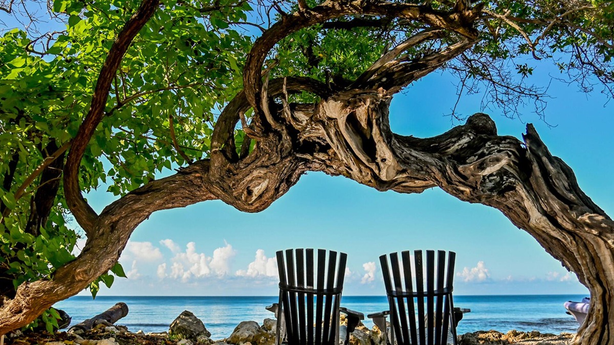 Treasure Beach Resort | Jakes