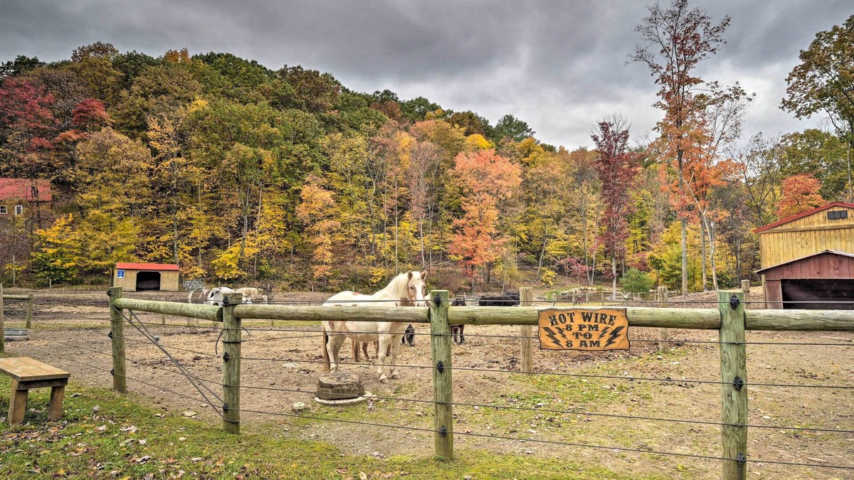 Huntingdon Apartment | 'James West' Apt w/50 Acres - Near Raystown Lake