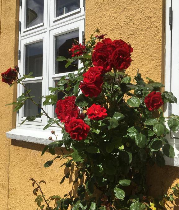 Middelfart Bed & Breakfast | Jan og Inges Bed & Breakfast