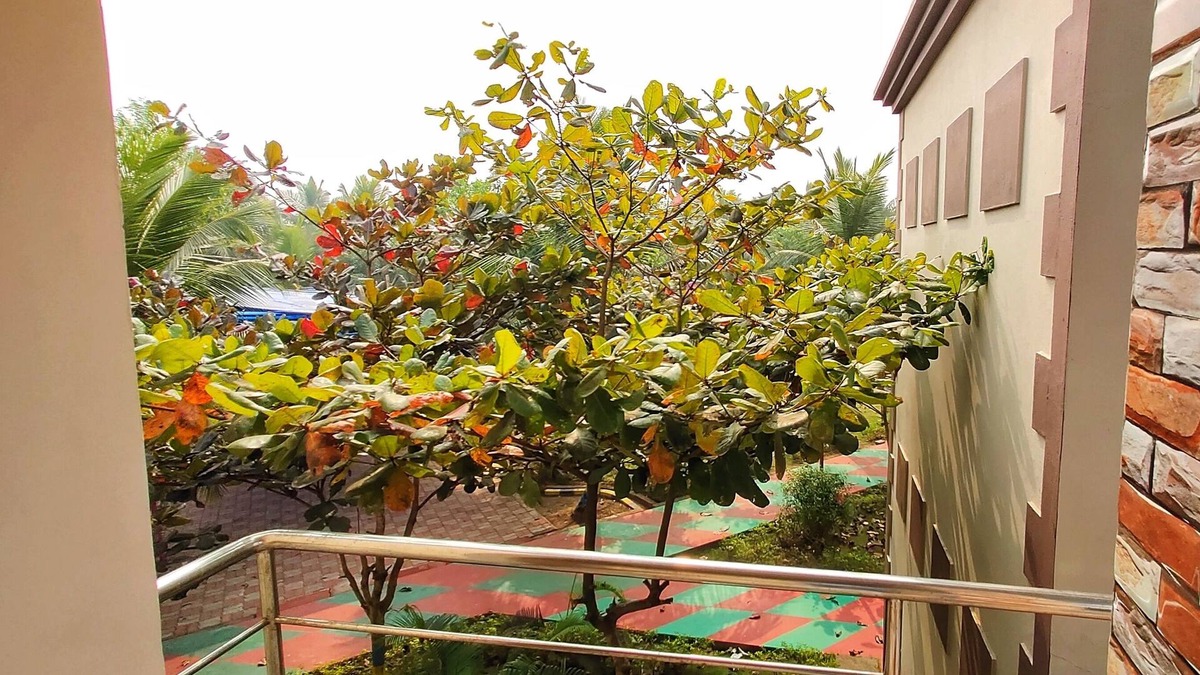 Konark Hotel | Janardan Coco Palms Resort