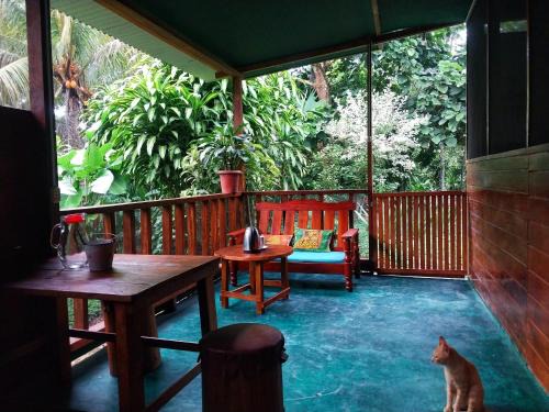Puerto Maldonado Apartment | JARDIN DE LAS MUSAS