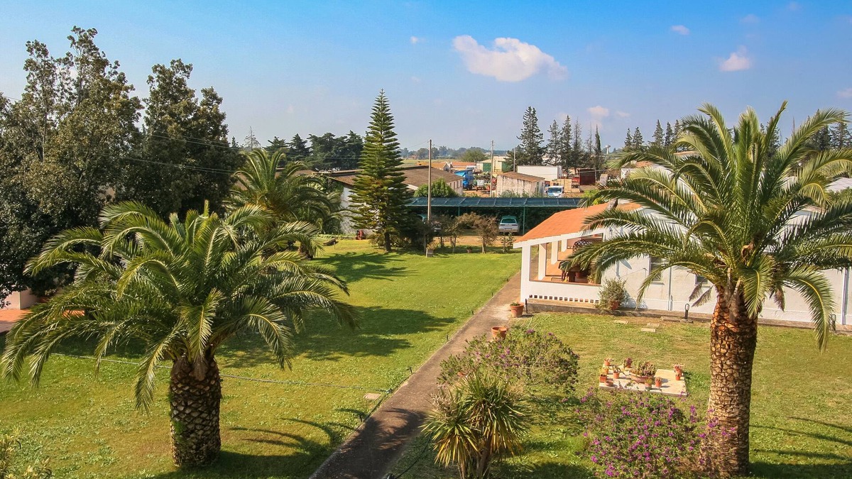 Pisticci House | Jasmine House, Ionian coast of Matera, very close to the sea, Wi-FI, garden