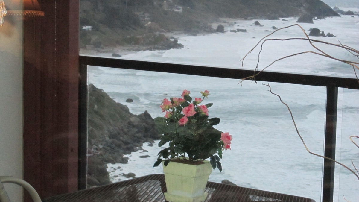 Brookings Condo | JAW-DROPPING VIEW,trails,family, free day,fireplace,private beach,gated & clean