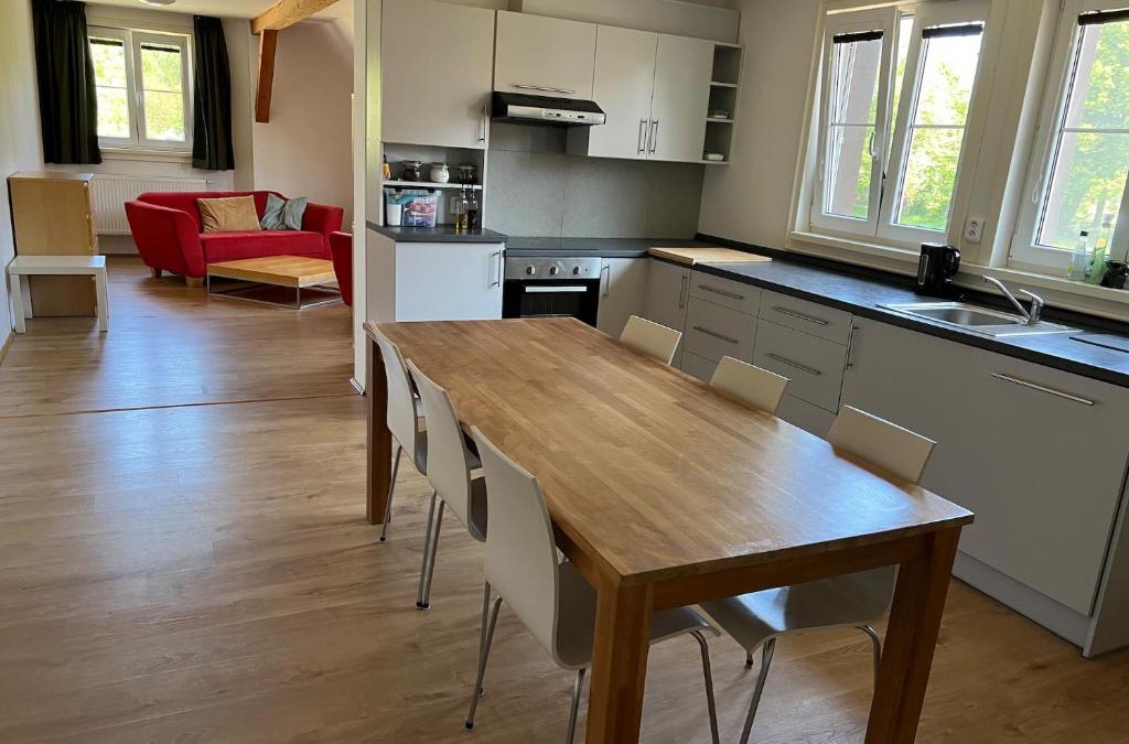 Hostka Apartment | Jelen