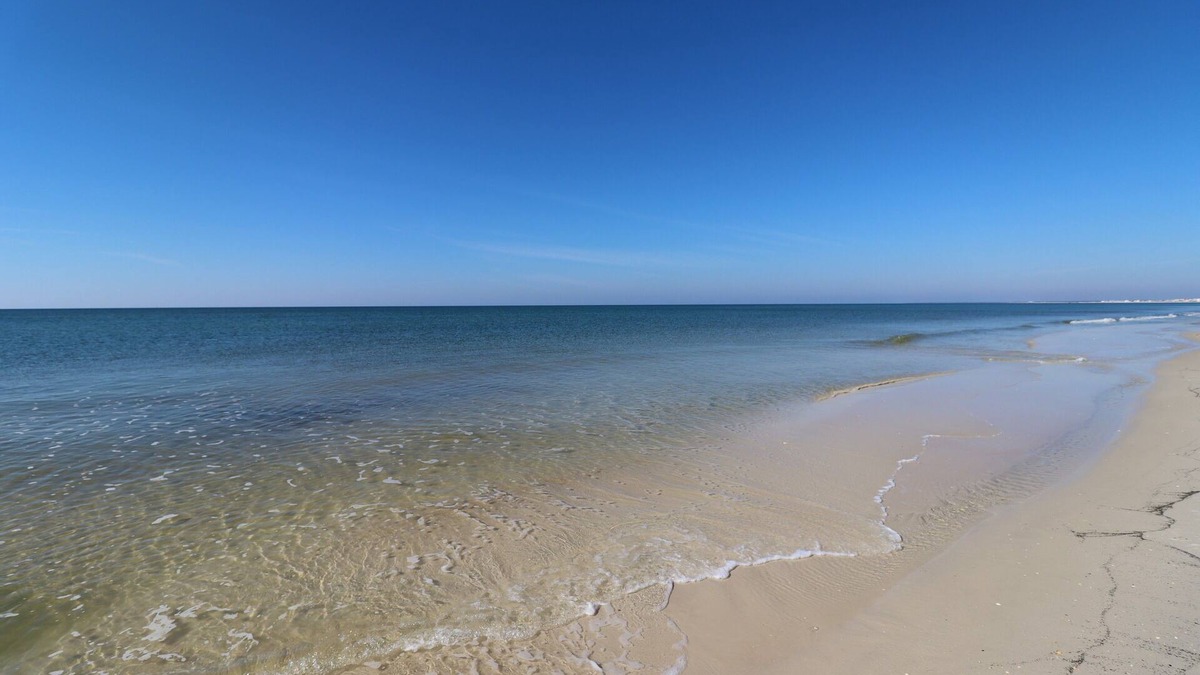 Port St. Joe House | JEWELL COTTAGE IS ADORABLE & AFFORDABLE! CLOSE TO ST JOE BAY!