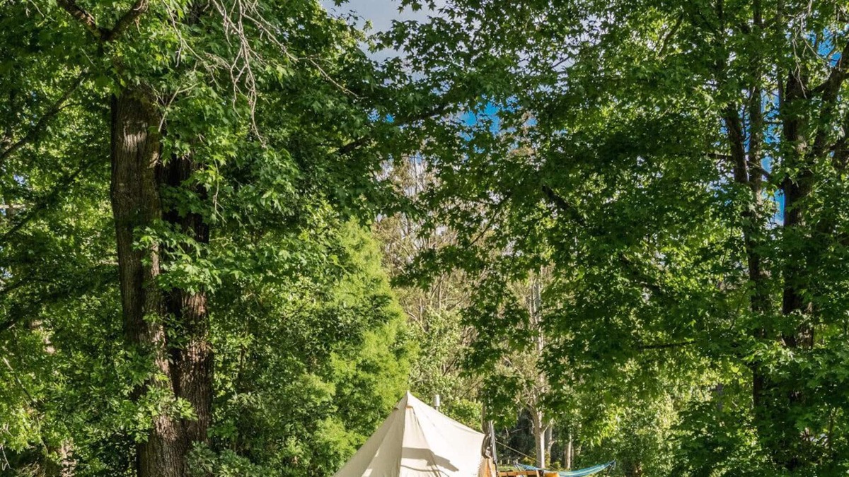 Lemon Tree RV Rental | Jilliby Creek Glamping Tent