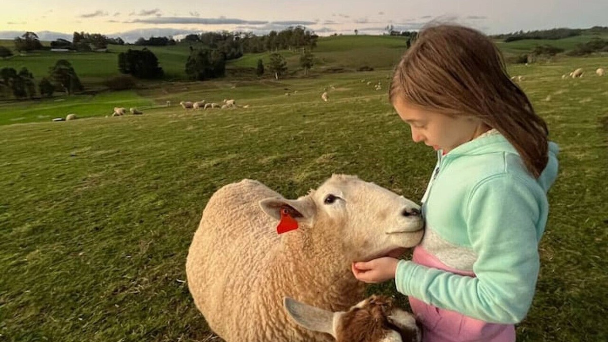 Buln Buln Other | Jilly Park Farm Experience - Discover Rustic Charm and Tranquil Farm Life in West Gippsland Inc Breakfast