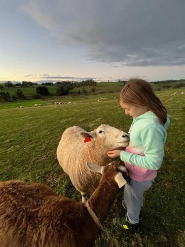 Buln Buln House | Jilly Park Farmstay Experience Discover Authentic Farm Life Complimentary Breakfast Included