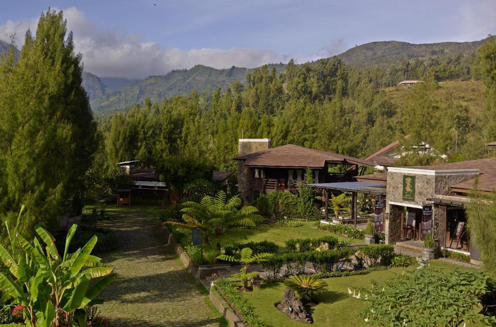Ngadisari Resort | Jiwa Jawa Resort Bromo