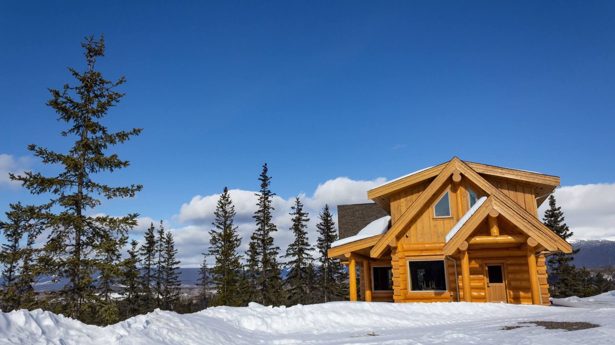 Smithers House | JollyMore | Blue Bird Nest