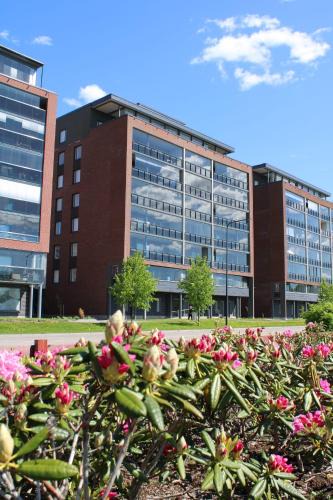 Jyvaskyla Apartment | Juhannusruusu [Rosa spinisissima] - best lake view