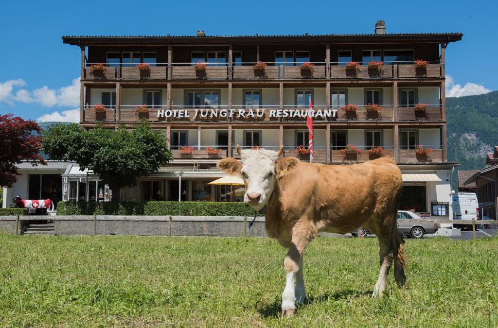 Wilderswil Hotel | Jungfrau Hotel
