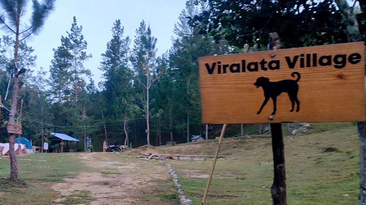 San Jose de las Matas Cabin | Junglavida