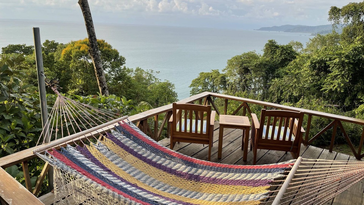 Palma House | Jungle by the Sea
