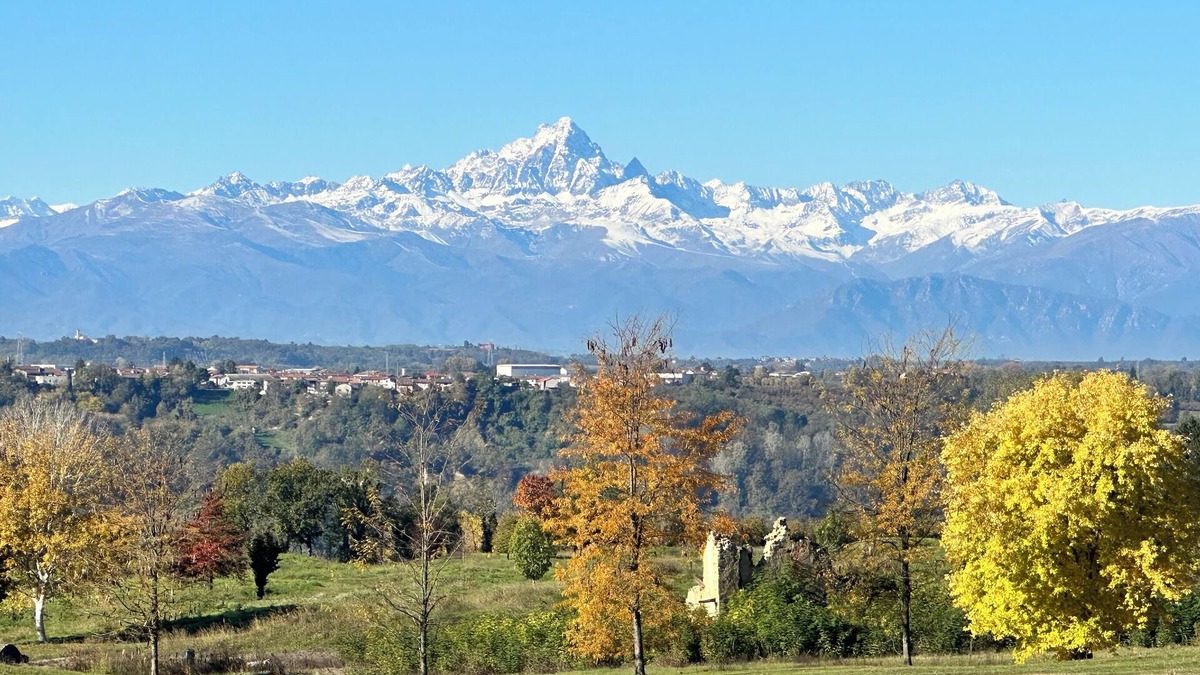 Novello House | Just Langhe Casa Dolcetto