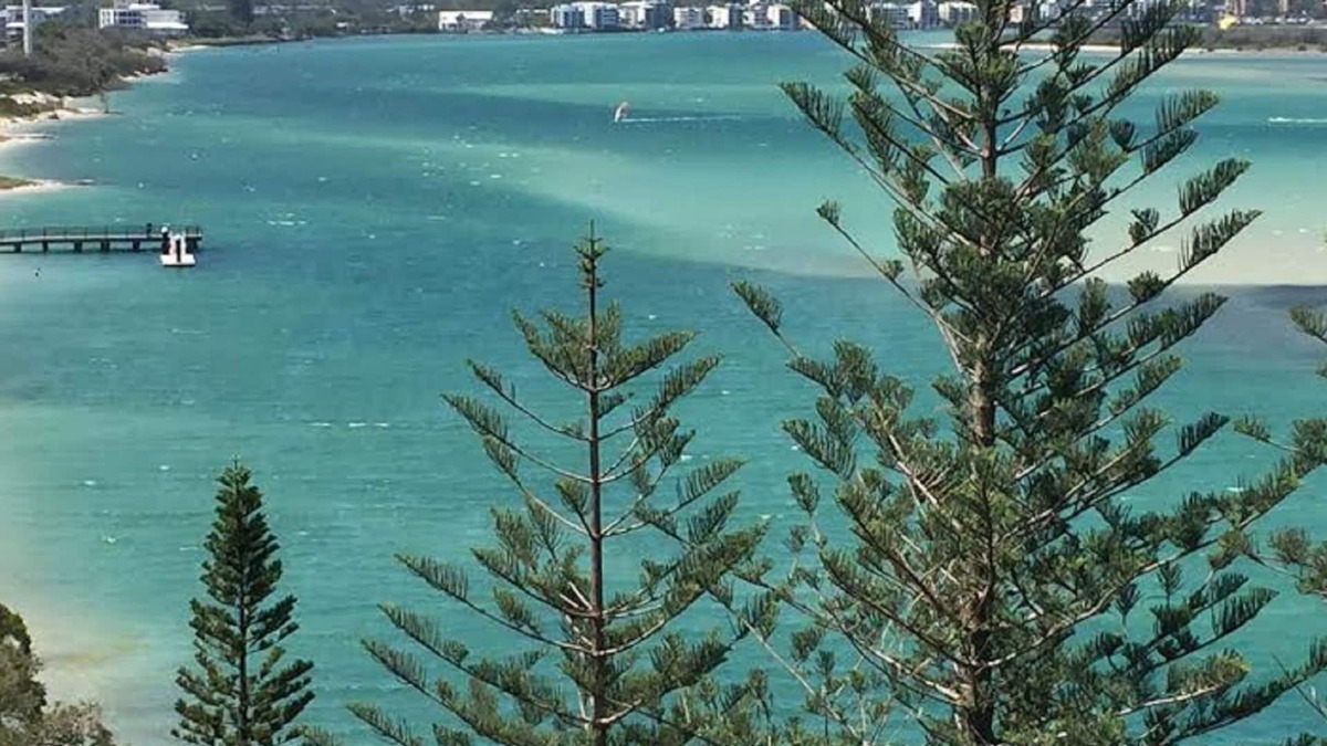 Golden Beach Apartment | Just Perfect - ocean view escape with free Wi-Fi & Netflix