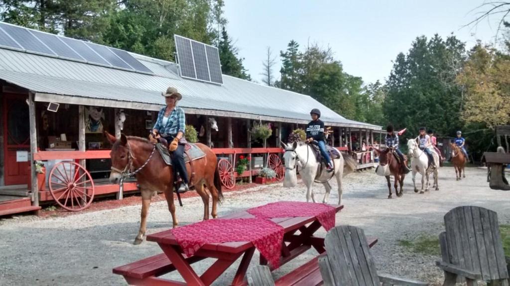 Manitoulin District Other | K!cking Mule Guest Ranch