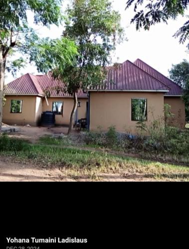 Nansio House | Kakerege village Home stay, House number 19, Yohana Tumaini Ladislaus