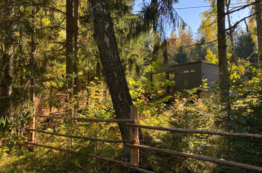 Hara House | Kakupesa Puhkemaja