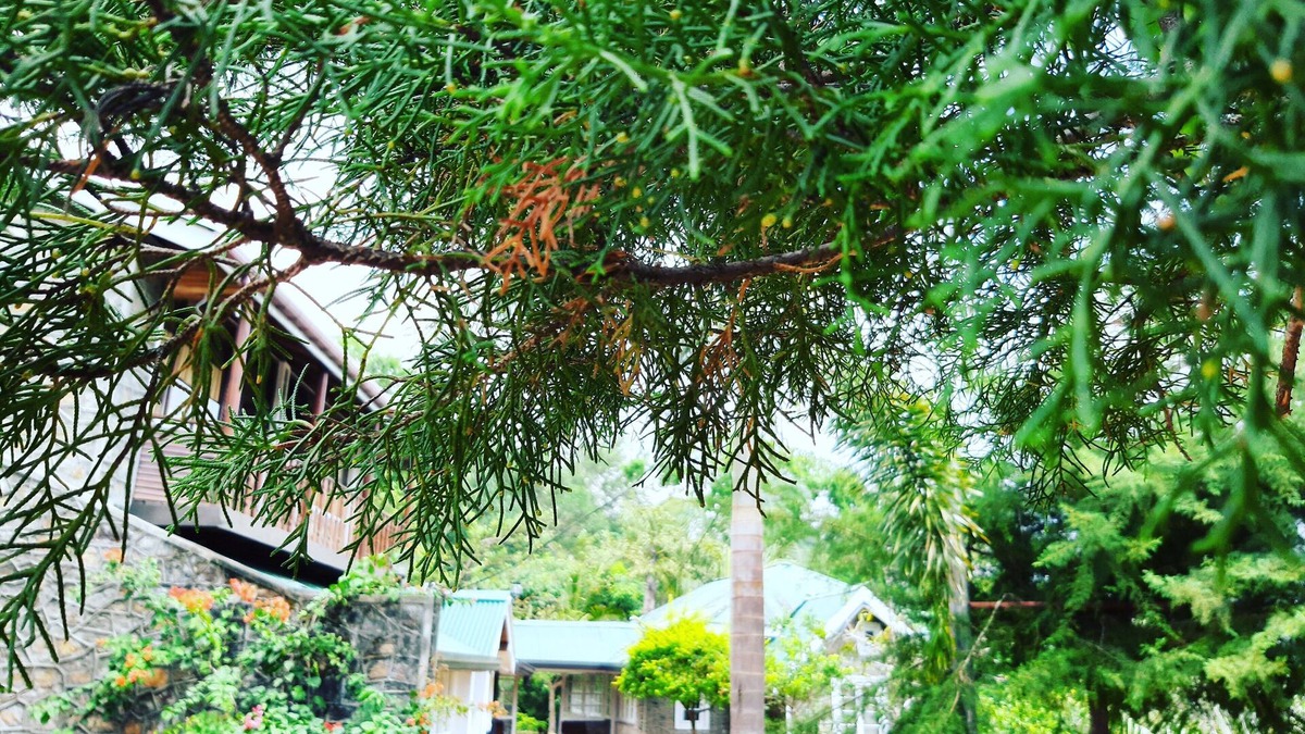 Beragala House | Kallycave Eco Lodge