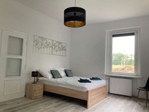 Nowe Miasto Apartment | Kamienica nad Maltą- Studio przy Malcie