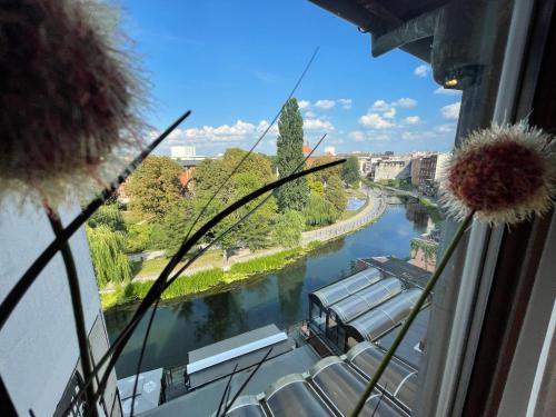 Bydgoszcz Apartment | Kamienica Poznańska 7