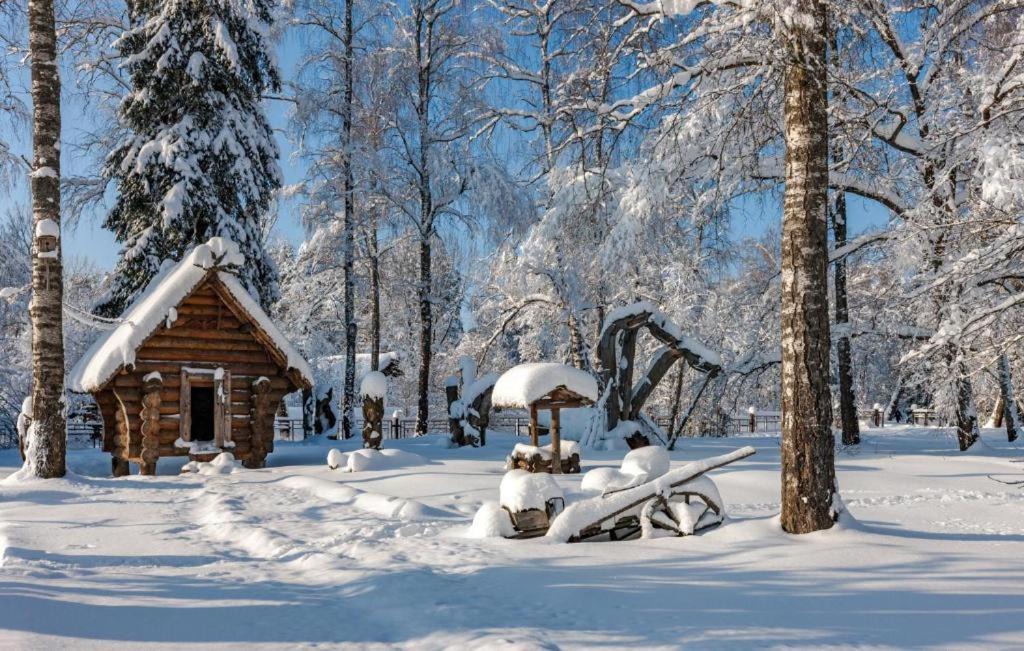 Zvenigorod Hotel | Kamorka s lezhankoy u okna