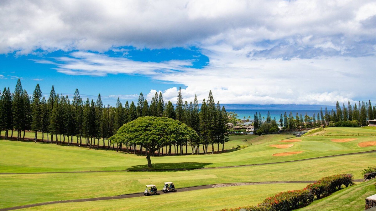 Kapalua Condo | Kapalua Golf Villa 15T2 - Remodeled 1BD with Coastal Vibes!