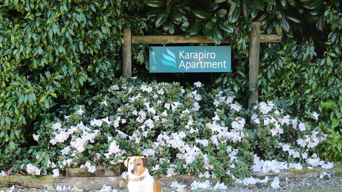 Karapiro Apartment | Karapiro Apartment, close to Lake Karapiro, Self-contained, one bedroom