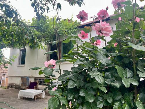 Arinj House | Karen's house