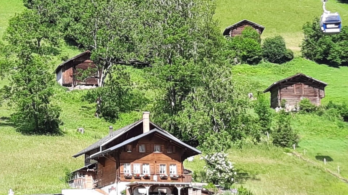 Lenk Apartment | Kari's Schüür by Interhome